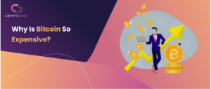Why Bitcoin is so expensive